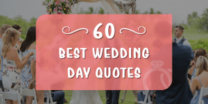 155 Trendy Wedding Countdown Quotes Happy Wedding App