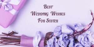 155 Trendy Wedding Countdown Quotes Happy Wedding App