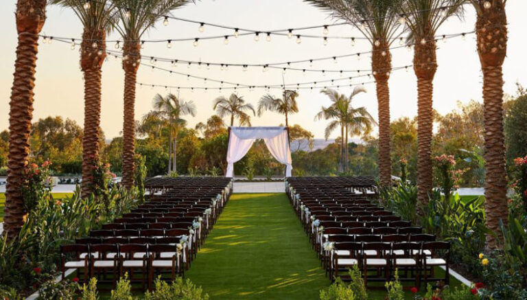 Palm Tree With String Lights Outdoor Wedding Venue 768x437 