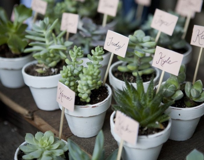 Mini Potted Plants Wildflower Wedding