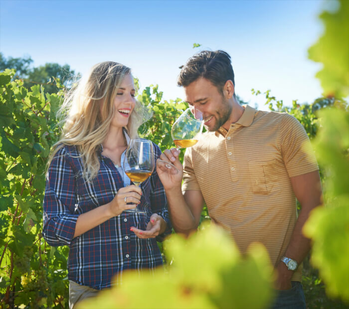 Vineyard Tours and Wine Tasting